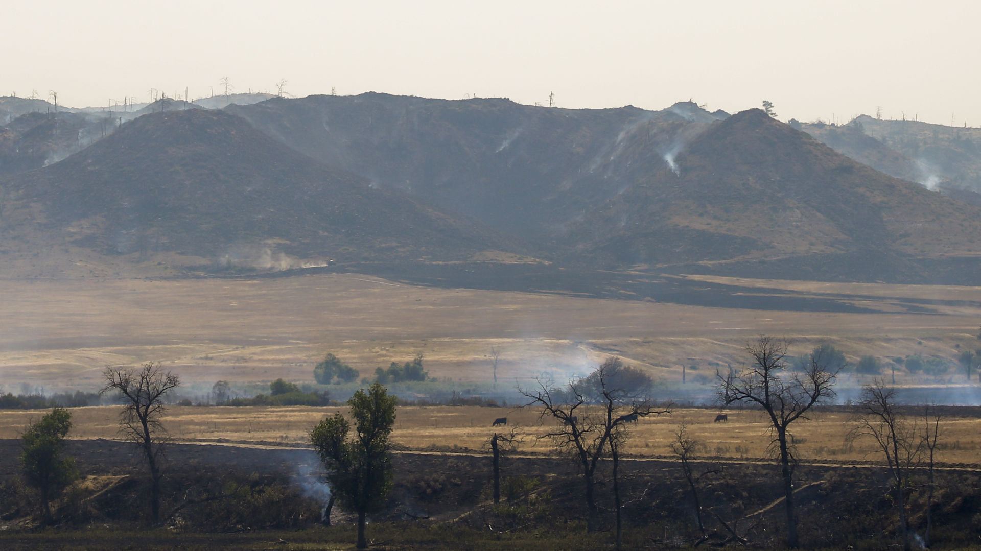 Richard Spring Fire